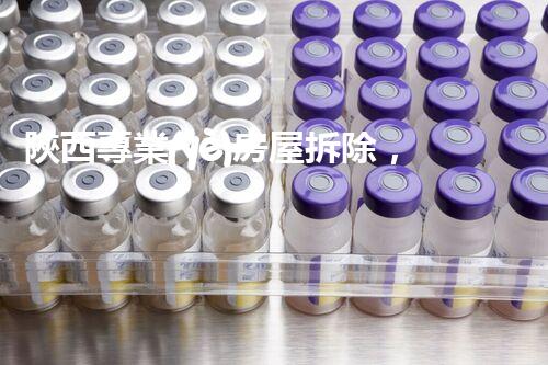 陜西專業(yè)房屋拆除，安全高效服務保障！